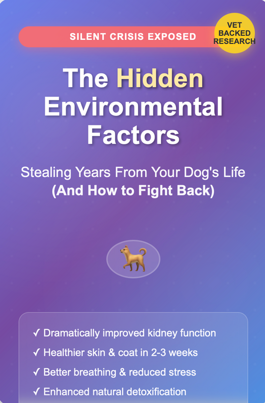 "What's Secretly Harming Your Dog"